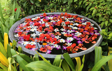 Similar image 6717740