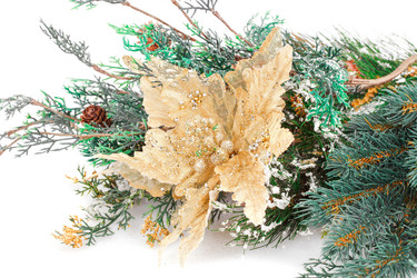 Similar image 6717859