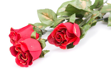 Similar image 6717999