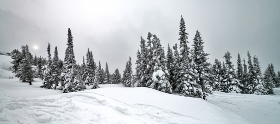 Similar image 6718073