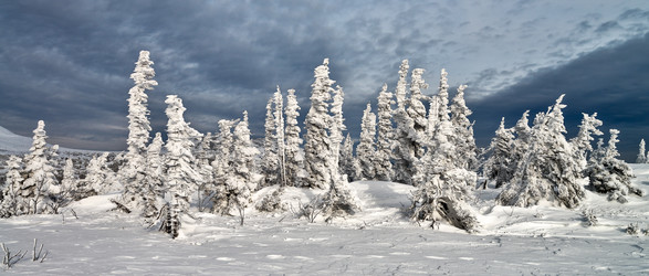 Similar image 6718105