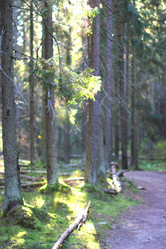 Similar image 6718176