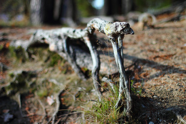 Similar image 6718177