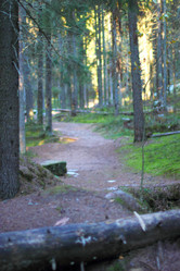 Similar image 6718178