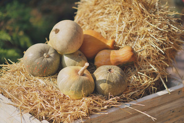 Similar image 6718468