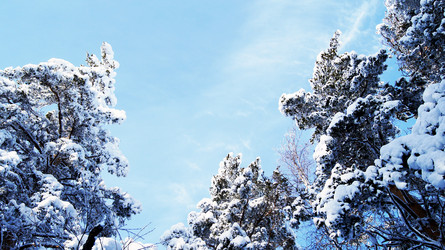 Similar image 6718515