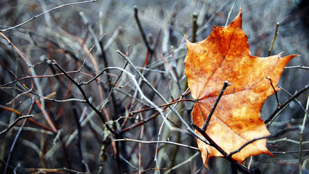 Similar image 6718523