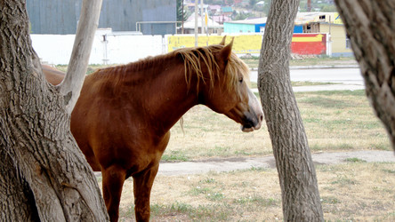 Similar image 6718524