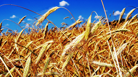 Similar image 6718526