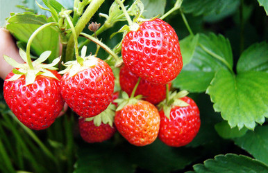 Similar image 6718528