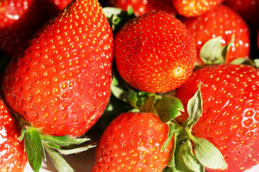 Similar image 6718532