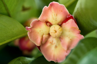 Similar image 6718802