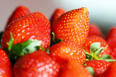 Similar image 6719298