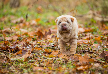 Similar image 6719364