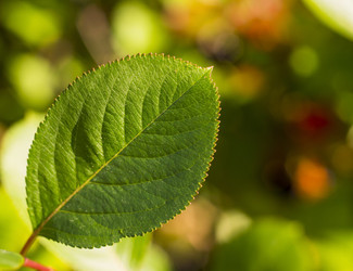 Similar image 6719369