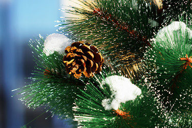 Similar image 6719376