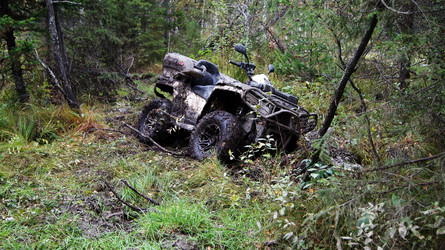 Similar image 6719378