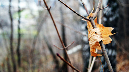 Similar image 6719380