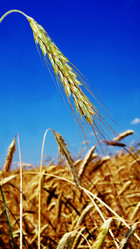 Similar image 6719381