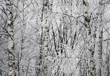 Similar image 6719410