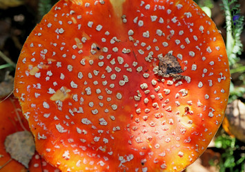 Similar image 6719448