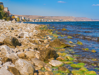 Similar image 6719452