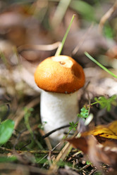 Similar image 6719470