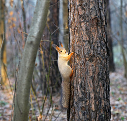 Similar image 6719478