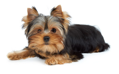 Similar image 6719504