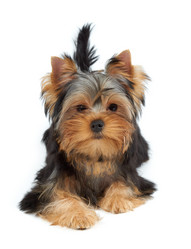 Similar image 6719505