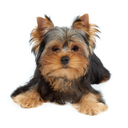 Similar image 6719506