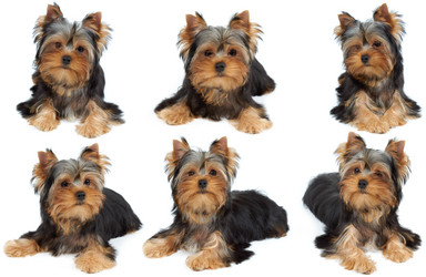 Similar image 6719545