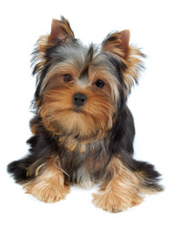 Similar image 6719579