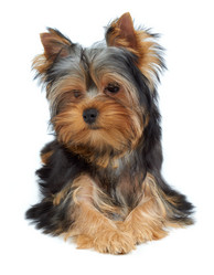 Similar image 6719580