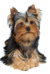 Similar image 6719581