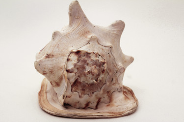 Similar image 6719625