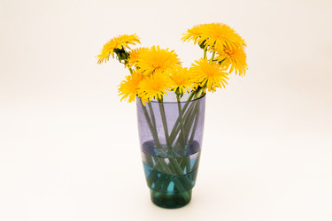 Similar image 6719628