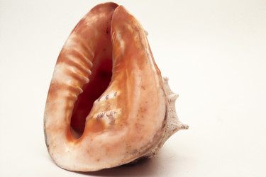 Similar image 6719638