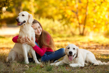 Similar image 6719815