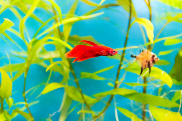 Similar image 6720059