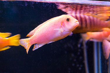 Similar image 6720067