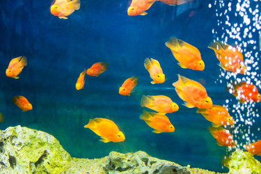 Similar image 6720070