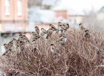 Similar image 6720183