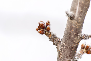 Similar image 6720586