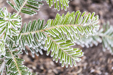 Similar image 6720587