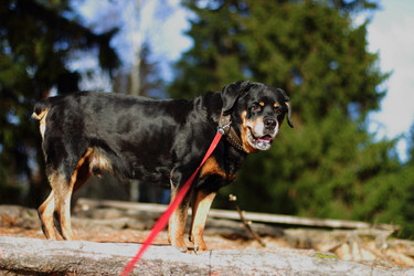 Similar image 6720589