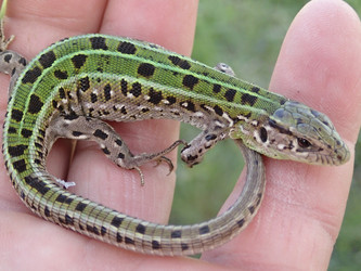 Similar image 6720598