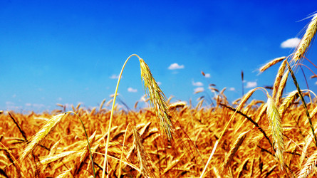 Similar image 6720672