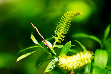 Similar image 6720673