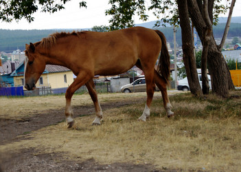 Similar image 6720676